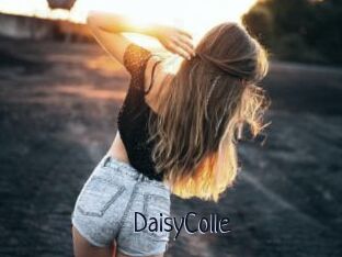 DaisyColle