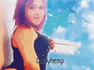 Daisy_hemp