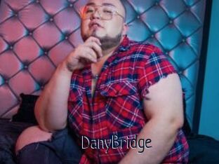 DanyBridge