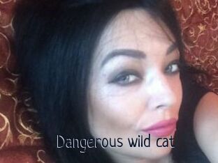 Dangerous_wild_cat