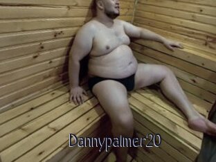 Dannypalmer20