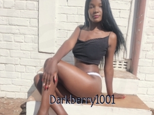 Darkberry1001