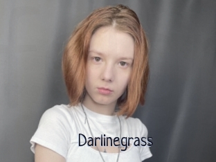 Darlinegrass