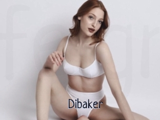 Dibaker