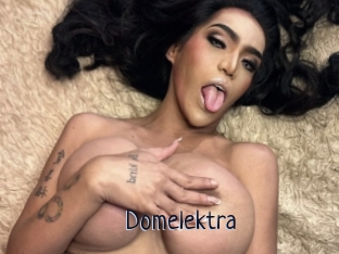 Domelektra