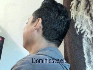 Dominicsteele