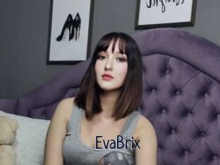 EvaBrix