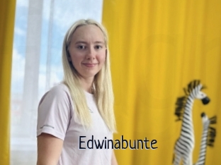 Edwinabunte