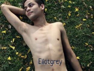 Eliotgrey