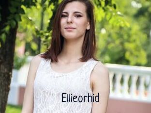 Ellieorhid