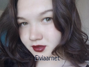 Elviaarnet