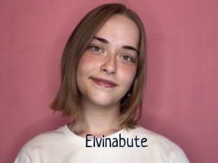 Elvinabute