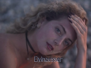 Elvinaesser