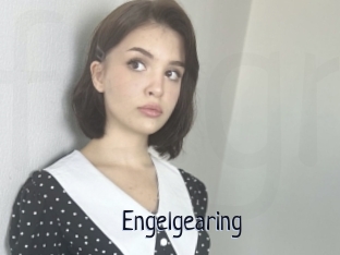 Engelgearing