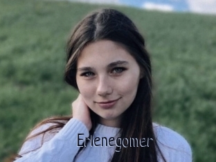 Erlenegomer