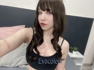 Evacolon