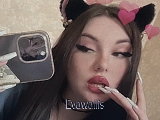 Evawallis