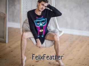 FelixFeather