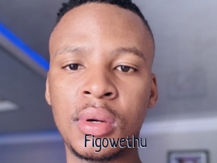 Figowethu