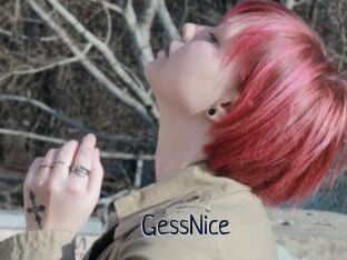 GessNice