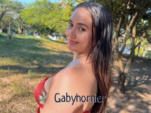 Gabyhornier