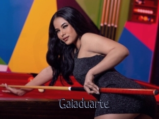 Gaiaduarte