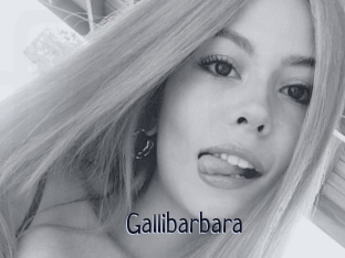 Gallibarbara