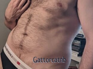 Gattorcatnb