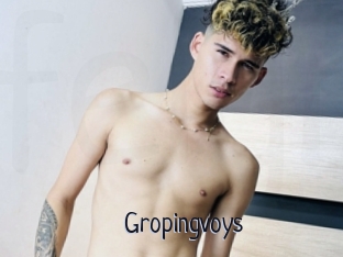 Gropingvoys