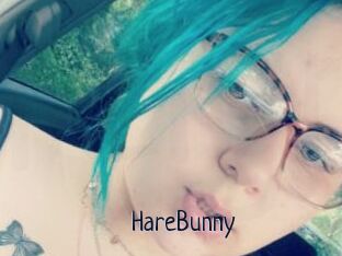 HareBunny