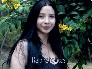 Hamnaholmes