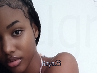 Haya23