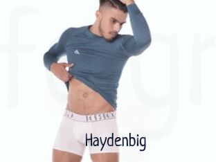 Haydenbig