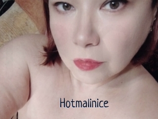 Hotmalinice