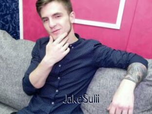 JakeSulii