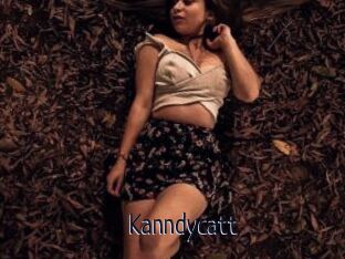 Kanndycatt