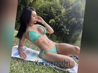 Karimemodel