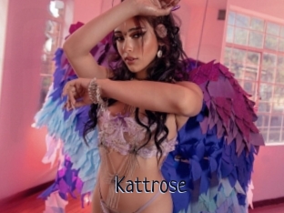 Kattrose