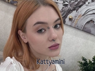 Kattyamini