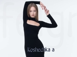 Koshechka_a