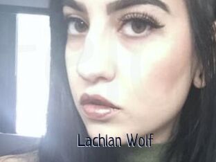 Lachlan_Wolf