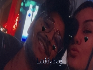 Laddybug