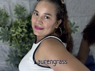 Laurengrass