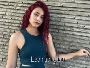 Leahmorgaan