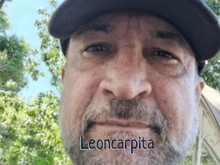 Leoncarpita