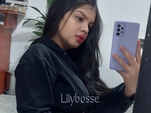 Lilybosse