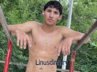 Linusdimitry