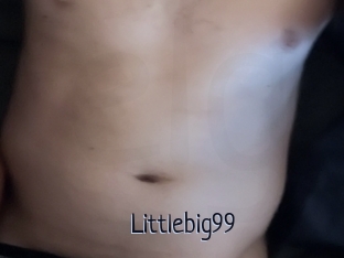 Littlebig99