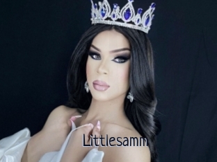 Littlesamm