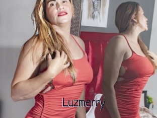 Luzmerry